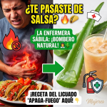 ¿Te Pasaste de Salsa? Llama a la “Enfermera Sábila”: El Bombero Natural para tu Gastritis
