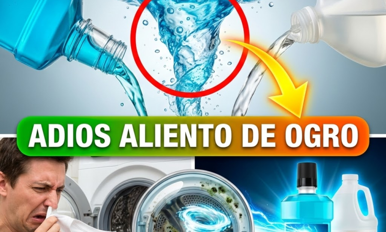 ¡¿Tu Lavadora tiene Aliento de Ogro?! Quita el Olor a “Choquía” y Humedad con Enjuague Bucal y Vinagre