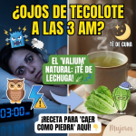 ¿Ojos de Tecolote a las 3 AM? El Secreto de “Mamá Lechuga” para Caer como Piedra