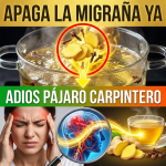 ¡¿Sientes un “Pájaro Carpintero” en la Cabeza?! Apaga la Migraña en Minutos con Jengibre y Clavo
