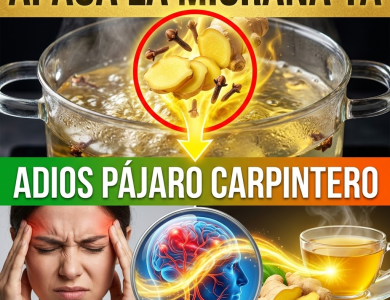 ¡¿Sientes un “Pájaro Carpintero” en la Cabeza?! Apaga la Migraña en Minutos con Jengibre y Clavo