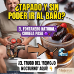 ¡Destapa la Tubería! Llama al “Fontanero Ciruela”: El Remedio de la Abuela que Nunca Falla