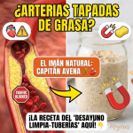 ¡Tuberías Tapadas! El “Imán de Grasa” que Limpia tus Arterias en el Desayuno
