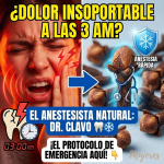 ¡Maldita Muela! Conoce al “Doctor Clavo”: El Anestesista Natural que te Salva la Vida