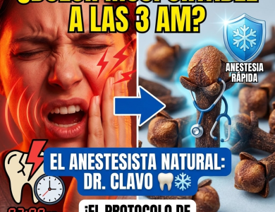 ¡Maldita Muela! Conoce al “Doctor Clavo”: El Anestesista Natural que te Salva la Vida