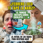 ¡Se Busca Aire! El “Ranger Eucalipto” al Rescate de tu Nariz en este Febrero Loco