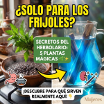 Secretos del Herbolario: 5 Plantas Mágicas que Todo Mexicano Debe Tener en Casa