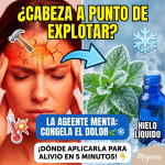 ¡Cabeza Fría! Llama a la “Agente Menta” para Congelar esa Migraña Insoportable ¡Cabeza Fría! Llama a la “Agente Menta” para Congelar esa Migraña Insoportable