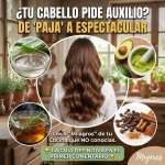 Blog de Belleza Natural: Los 5 Guardianes de tu Cabello