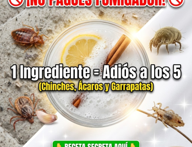 ¡Fuera Intrusos! Guía Definitiva para Eliminar las 5 Plagas más Odiadas del Hogar