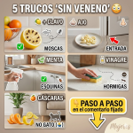 Trucos caseros “sin veneno” para alejar plagas